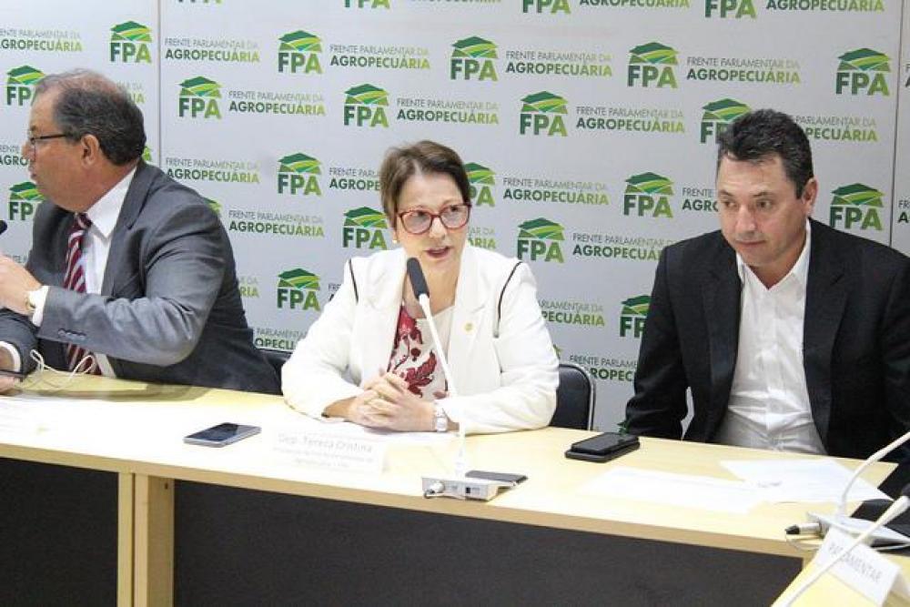 Por que Tereza Cristina será a nova ministra da Agricultura