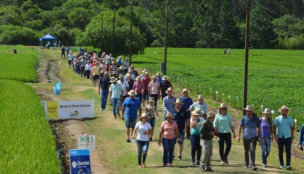 Dia de Campo da Região Central recebeu mais de mil produtores em Santa Maria