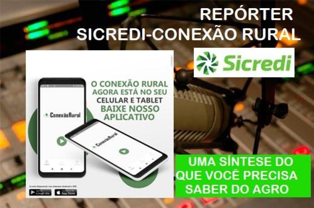Repórter Sicredi-Conexão Rural - Leia os destaques e ouça a edição desta quarta-feira,  1º de março de 2020