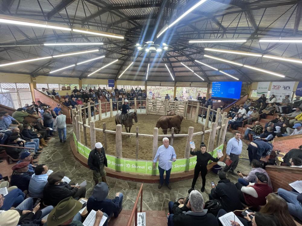 Padrão Santa Tereza em pista nessa terça-feira em Camaquã - saiba mais sobre o 27º Remate