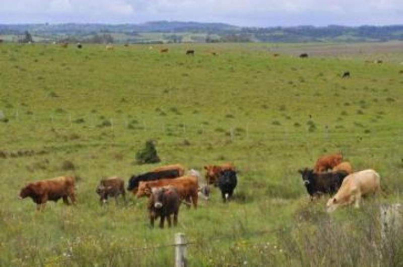 PL do direito de ter arma no campo passa por comissão. Mas isso vai longe