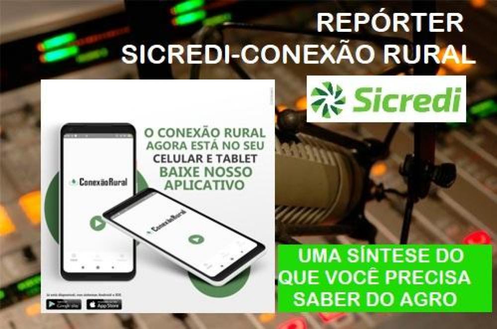 Repórter Sicredi-Conexão Rural - leia e ouça a edição de 9 de abril de 2020