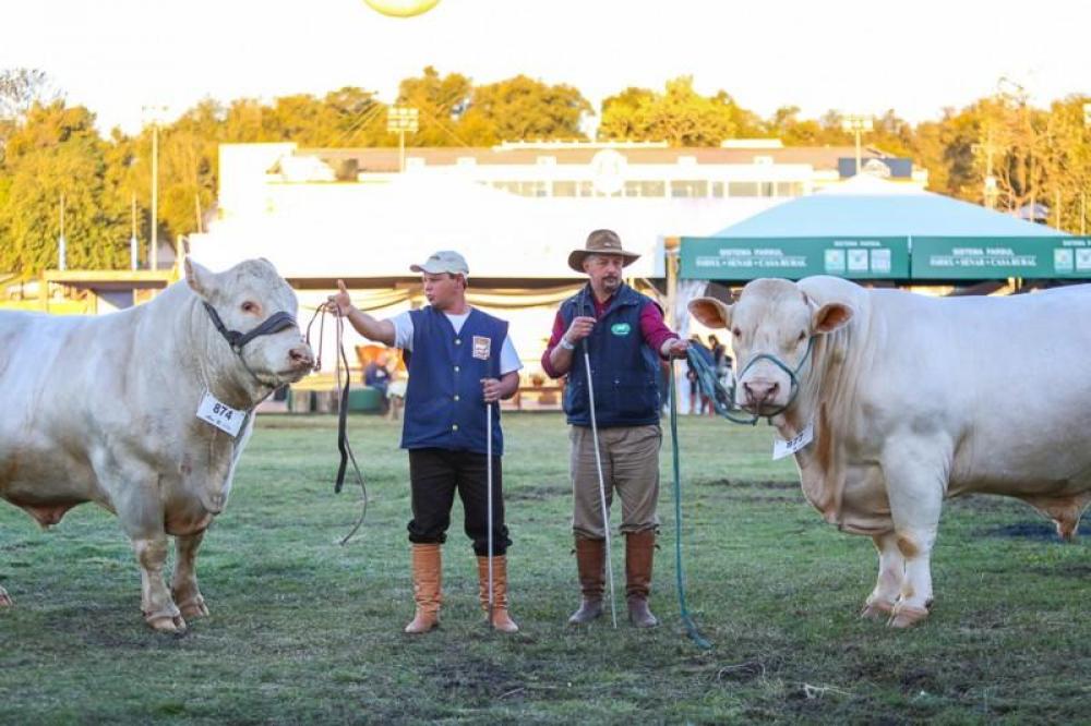 Leia e ouça o Repórter Sicredi-Conexão Rural/Edição desta quarta-feira, 6 de maio de 2020