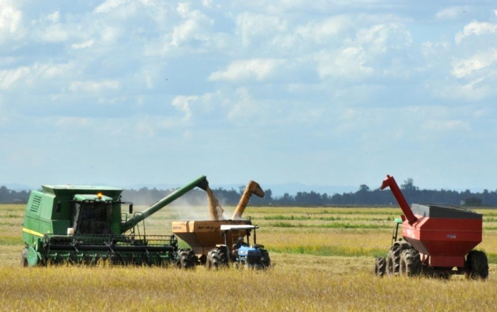 2017 não foi um bom ano para quem produz