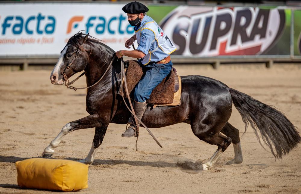 Cavalo uruguaio e égua gaúcha levam os ouros 2020 da ABCCC