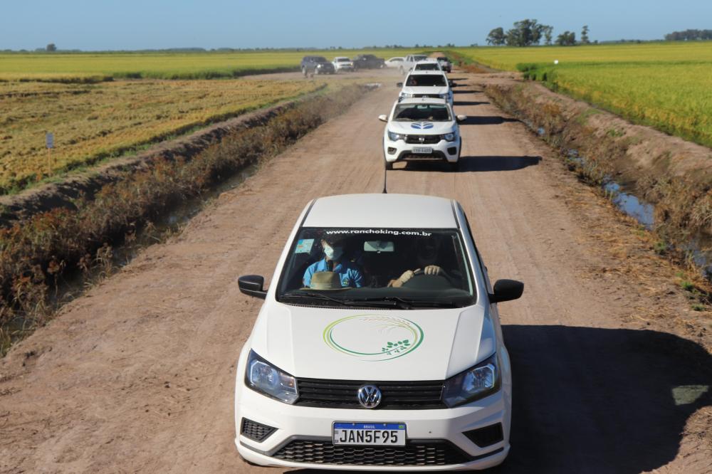 Sobre rodas: participantes aprovam Dia de Campo drive-in da Palma