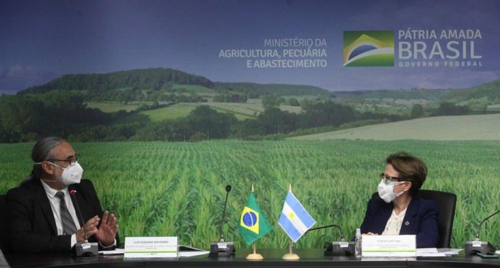 Brasil e Argentina atualizam comércio agropecuário de US$ 4 bilhões anuais