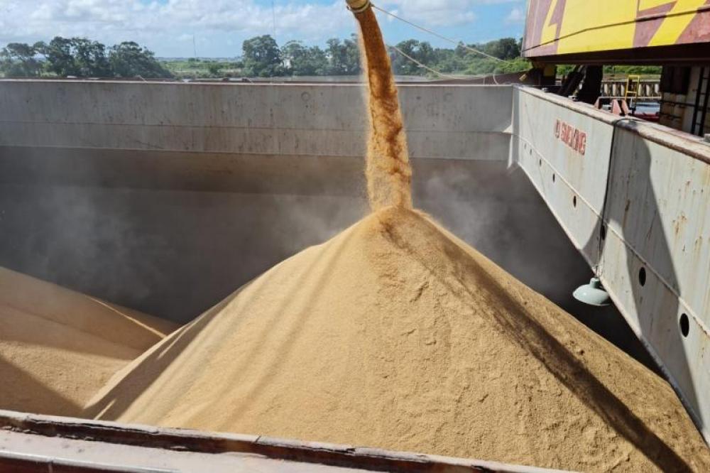 México fecha compra de 25 mil toneladas de arroz em casca, com possibilidade de mais embarques