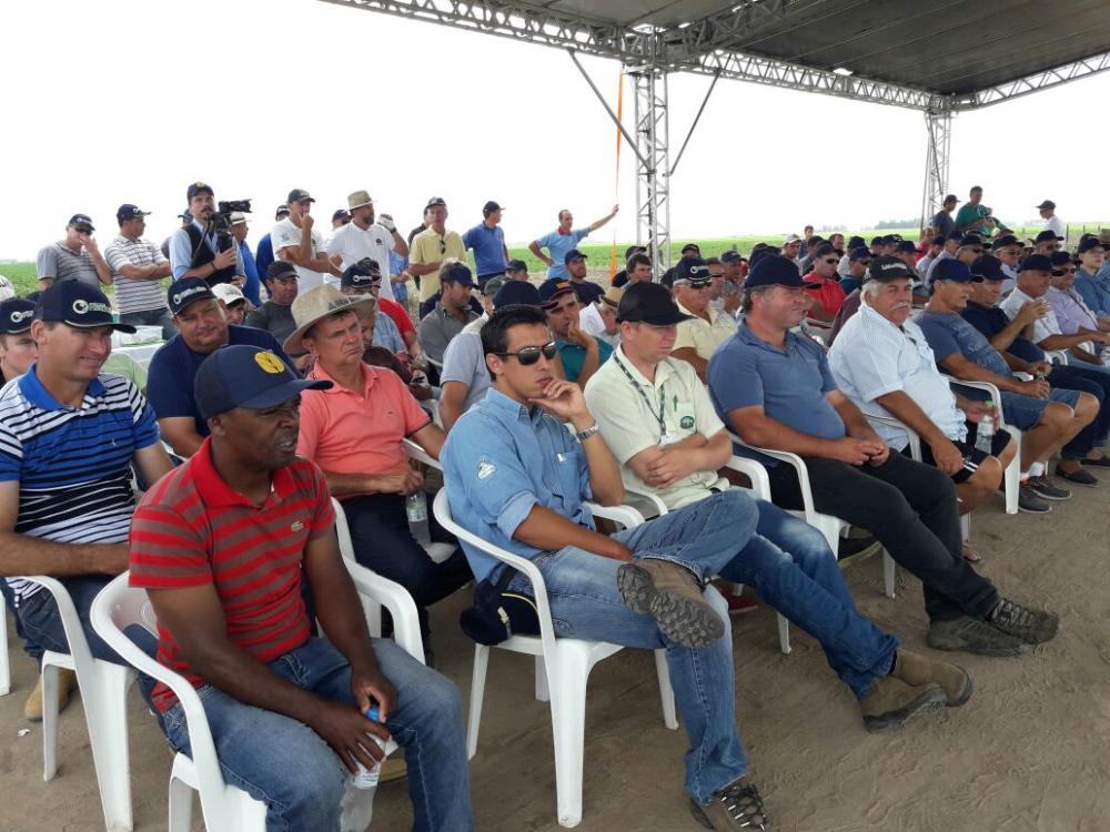 Lavouras modelo e tecnologia em máquinas na Fazenda Palma