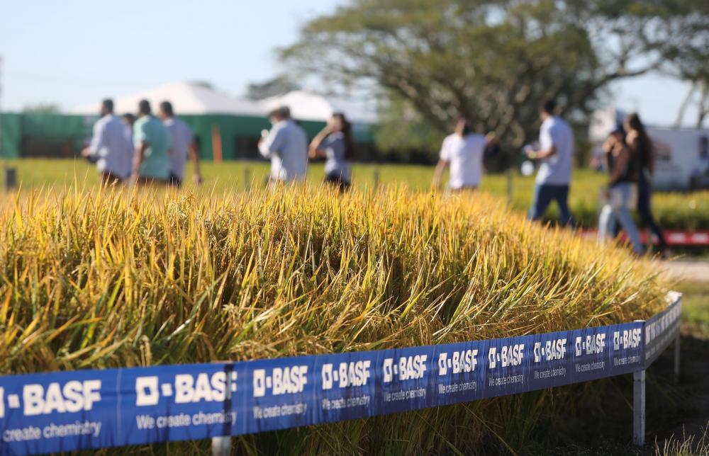 Produtores conhecem novidades para o setor nas vitrines da Abertura da Colheita do Arroz