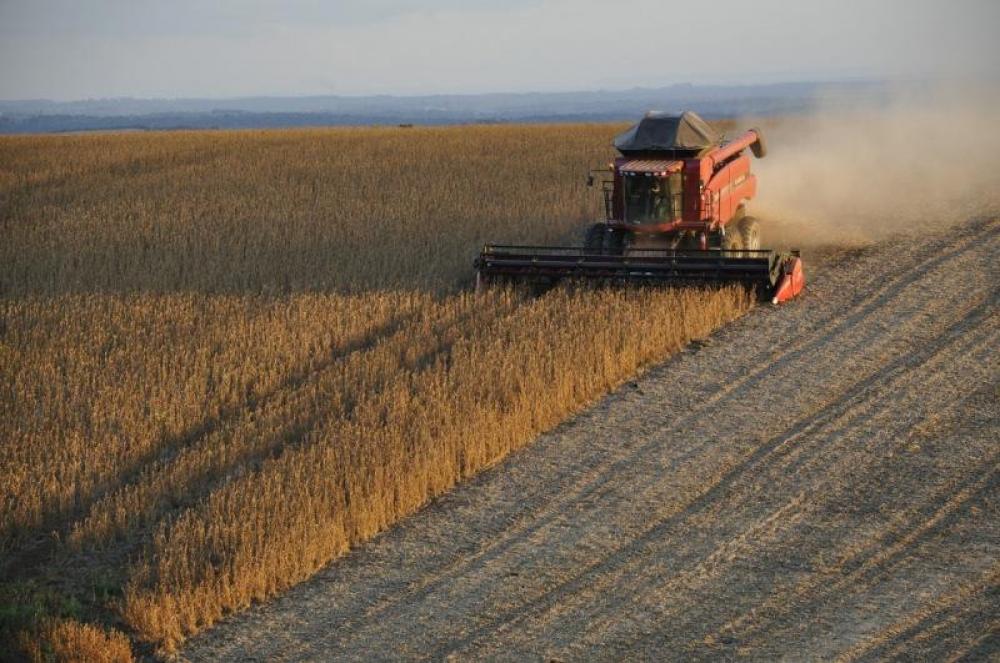 Gigantes do agro lançam hoje documento no Egito para reduzir aquecimento global