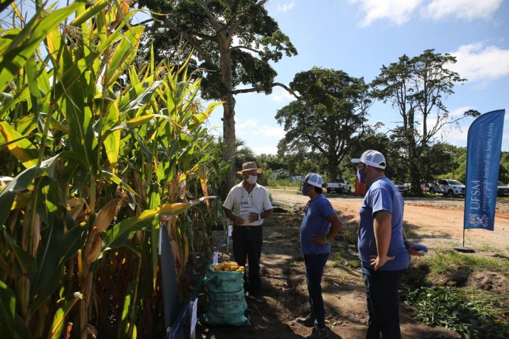 Abertura da Colheita do Arroz trará novidades em todas as culturas