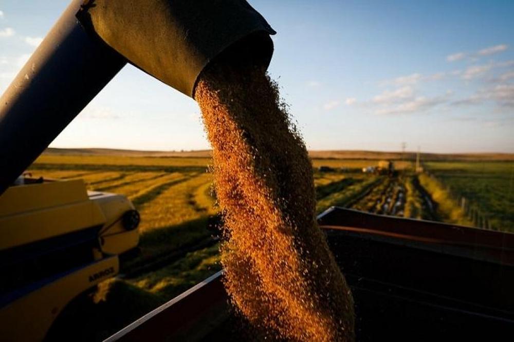 Reunião da Câmara Setorial do Arroz será realizada novamente na Abertura da Colheita