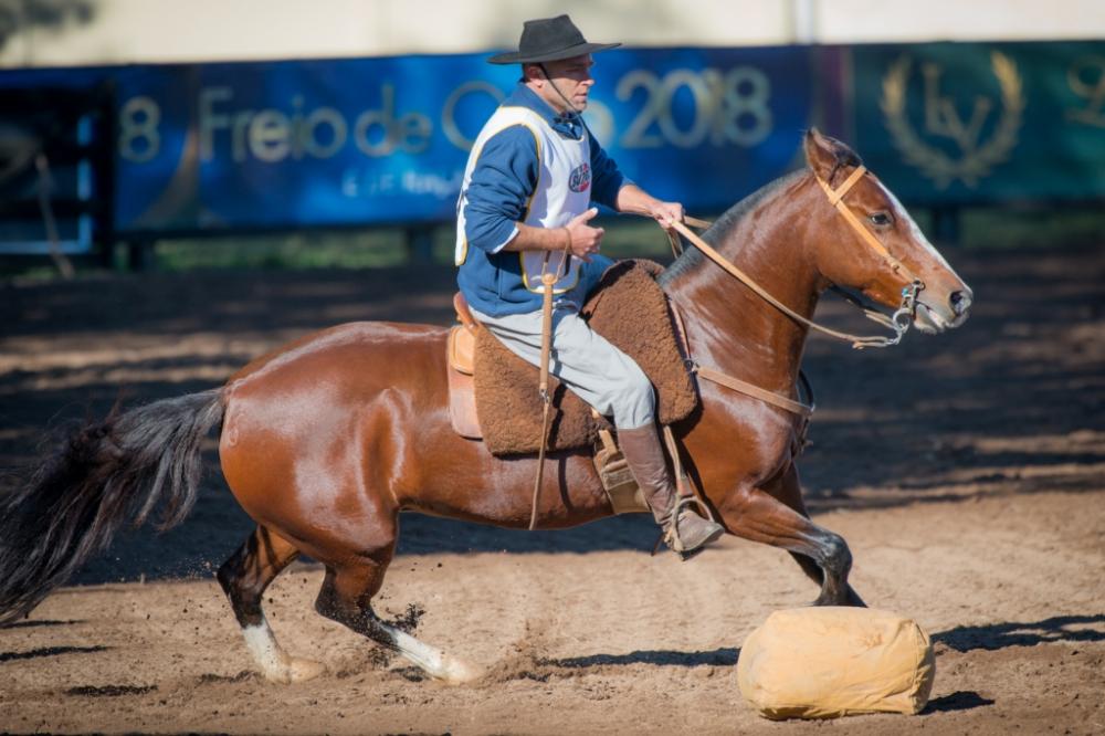 Freio de Ouro 2018: show de organização e disputas que levantaram o público em Camaquã